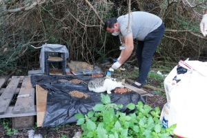 KEDİLER BESLENİP SAHİLDE TEMİZLİK ÇALIŞMASI YAPILDI