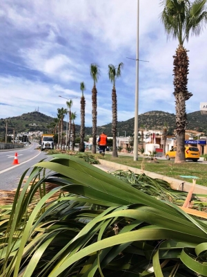 KISITLAMA GÜNLERİNDE BELEDİYE EKİPLERİ SAHADAYDI