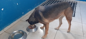 BELEDİYE EKİPLERİNİN GECE MESAİSİ SÜRÜYOR