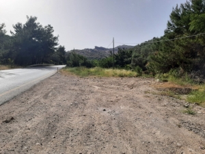 DÖKTÜKLERİ GİBİ TOPLADILAR