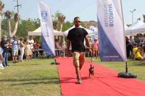 BODRUM CAN DOSTLARI İÇİN FESTİVAL DÜZENLEDİ: ‘PATİ FEST’