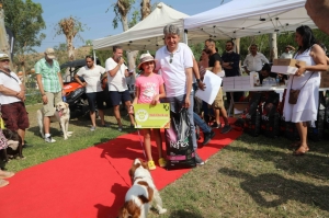 BODRUM CAN DOSTLARI İÇİN FESTİVAL DÜZENLEDİ: ‘PATİ FEST’