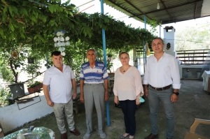 YAŞLILARA SAYGI PROJESİ İLE BODRUM’UN ÇINARLARI ZİYARET EDİLİYOR