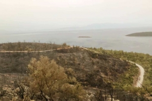 BAŞKAN ARAS “NE PAHASINA OLURSA OLSUN BODRUM’U KORUYACAĞIZ”