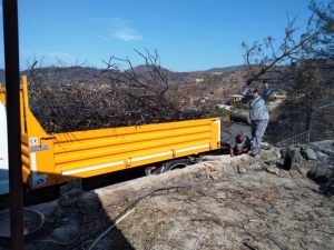 BODRUM BELEDİYESİ YANGIN SONRASI TEHLİKE OLUŞTURAN AĞAÇLARA MÜDAHALE ETTİ