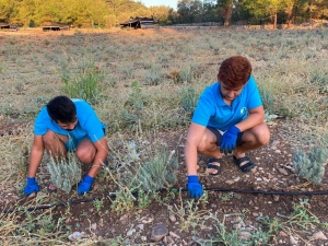 GENÇLİK TARIM KAMPI'NDA 3.DÖNEM BAŞLADI