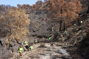 YANGIN BÖLGELERİNDE ÇEVRE TEMİZLİĞİ YAPILDI