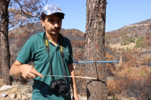 ULUDAĞ ÜNİVERSİTESİ’NDEN YANGIN BÖLGESİNE AKADEMİK DESTEK