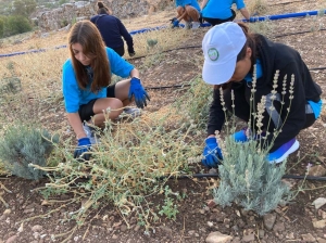 GARAOVA GENÇLİK TARIM KAMPI SONA ERDİ