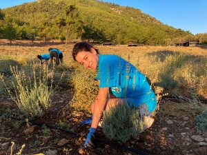 GARAOVA GENÇLİK TARIM KAMPI SONA ERDİ