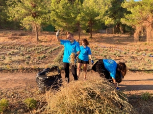 GARAOVA GENÇLİK TARIM KAMPI SONA ERDİ