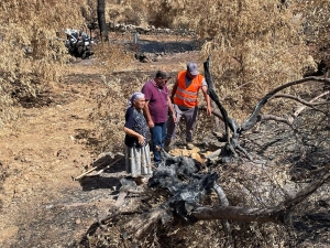 BELEDİYE YANGINDA ZARAR GÖRMÜŞ ZEYTİN AĞAÇLARININ SAĞLIKLI GELİŞMESİ İÇİN ÇALIŞIYOR
