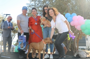 BODRUM BELEDİYESİ CAN DOSTLARI İÇİN ŞENLİK DÜZENLEDİ