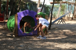 BODRUM BELEDİYESİ CAN DOSTLARI İÇİN ŞENLİK DÜZENLEDİ