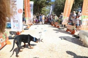 BODRUM BELEDİYESİ CAN DOSTLARI İÇİN ŞENLİK DÜZENLEDİ