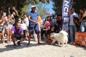 BODRUM BELEDİYESİ CAN DOSTLARI İÇİN ŞENLİK DÜZENLEDİ