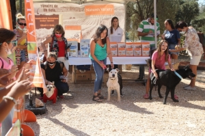 BODRUM BELEDİYESİ CAN DOSTLARI İÇİN ŞENLİK DÜZENLEDİ