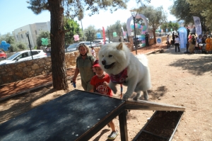 BODRUM BELEDİYESİ CAN DOSTLARI İÇİN ŞENLİK DÜZENLEDİ