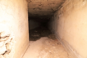 DERE YATAKLARI ÇÖP KUTUSU DEĞİLDİR