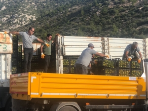 BODRUM BELEDİYESİ ÜRETİCİYE DESTEK OLMAYA DEVAM EDİYOR