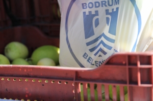 BODRUM BELEDİYESİ ÜRETİCİYE DESTEK OLMAYA DEVAM EDİYOR