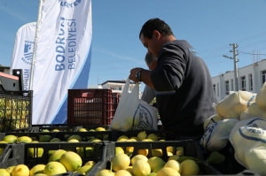 BODRUM BELEDİYESİ ÜRETİCİYE DESTEK OLMAYA DEVAM EDİYOR