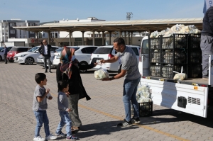 BODRUM BELEDİYESİ ÜRETİCİYE DESTEK OLMAYA DEVAM EDİYOR