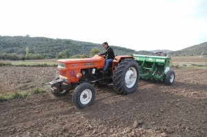 BODRUM TOHUM MERKEZİ ÜRETMEYE VE GÜÇLENMEYE DEVAM EDİYOR
