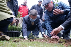 ÜRETİCİLERE 20 BİN ADET KEÇİBOYNUZU FİDANI DAĞITILDI