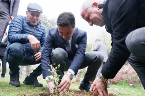 ÜRETİCİLERE 20 BİN ADET KEÇİBOYNUZU FİDANI DAĞITILDI