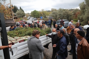 ÜRETİCİLERE 20 BİN ADET KEÇİBOYNUZU FİDANI DAĞITILDI