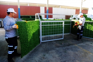 MUĞLA’DA, İLÇE BAZINDA İLK ‘SIFIR ATIK BELGESİ’ BODRUM BELEDİYESİ'NE