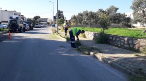 SOKAĞIM TEMİZ BODRUM TEMİZ