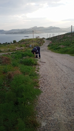 SOKAĞIM TEMİZ BODRUM TEMİZ