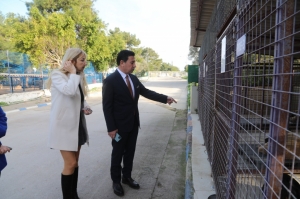 BODRUM BELEDİYESİ BARINAKLARINDA CAN DOSTLAR EMİN ELLERDE