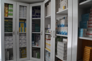 BODRUM BELEDİYESİ BARINAKLARINDA CAN DOSTLAR EMİN ELLERDE