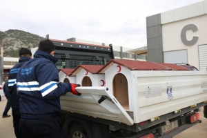 BODRUM BELEDİYESİ VE STK’LERDEN SOKAK HAYVANLARI İÇİN ORTAK PROJE