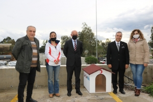 BODRUM BELEDİYESİ VE STK’LERDEN SOKAK HAYVANLARI İÇİN ORTAK PROJE