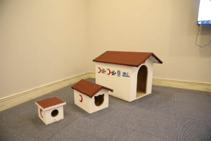 BODRUM BELEDİYESİ VE STK’LERDEN SOKAK HAYVANLARI İÇİN ORTAK PROJE