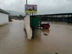 BODRUM'DA EKİPLER, SU TAŞKINLARINA KARŞI TEYAKKUZDA