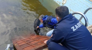 BODRUM'DA EKİPLER, SU TAŞKINLARINA KARŞI TEYAKKUZDA