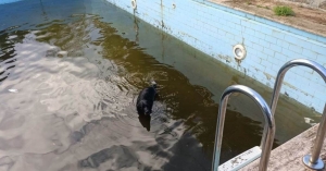 BODRUM'DA EKİPLER, SU TAŞKINLARINA KARŞI TEYAKKUZDA