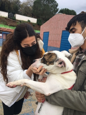 TATLITUĞ ÇİFTİNDEN BODRUM`DA ANLAMLI DESTEK