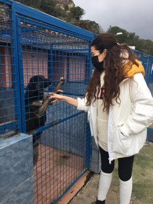 TATLITUĞ ÇİFTİNDEN BODRUM`DA ANLAMLI DESTEK
