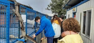 TATLITUĞ ÇİFTİNDEN BODRUM`DA ANLAMLI DESTEK