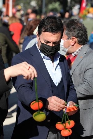 BODRUM’DA MANDALİNA HASAT FESTİVALİ GERÇEKLEŞTİRİLDİ