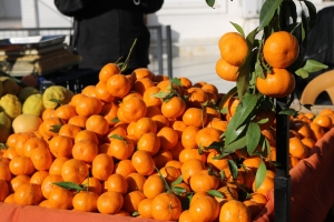 BODRUM’DA MANDALİNA HASAT FESTİVALİ GERÇEKLEŞTİRİLDİ