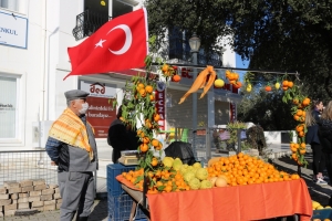 BODRUM’DA MANDALİNA HASAT FESTİVALİ GERÇEKLEŞTİRİLDİ