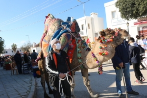 BODRUM’DA MANDALİNA HASAT FESTİVALİ GERÇEKLEŞTİRİLDİ