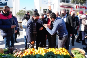 BODRUM’DA MANDALİNA HASAT FESTİVALİ GERÇEKLEŞTİRİLDİ